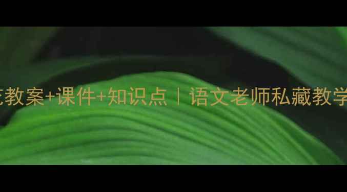 图片 📚梅花教案+课件+知识点｜语文老师私藏教学秘籍1