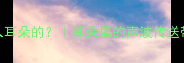 图片 🔊声音是如何进入耳朵的？｜耳朵里的声波传送带小学生科学教案