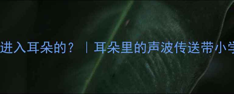 图片 🔊声音是如何进入耳朵的？｜耳朵里的声波传送带小学生科学教案1