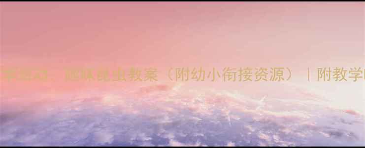 图片 🔍中班科学活动：趣味昆虫教案（附幼小衔接资源）｜附教学PPT模板2