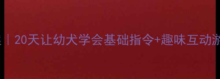 图片 🔥小狗Bingo训练教案｜20天让幼犬学会基础指令+趣味互动游戏（附详细步骤）🐾