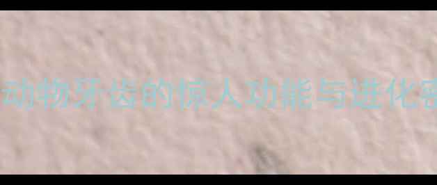 图片 🦷动物牙齿的奇妙世界：20种动物牙齿的惊人功能与进化密码（附教案设计+互动实验）