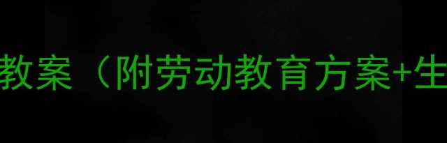 图片 🧺中班职业体验：洗衣店主题教案（附劳动教育方案+生活技能培养）｜附教学资源包